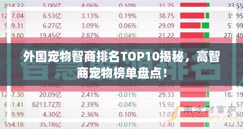 外國寵物智商排名TOP10揭秘，高智商寵物榜單盤點(diǎn)！