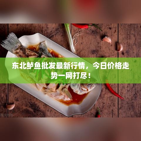 東北鱸魚批發(fā)最新行情，今日價(jià)格走勢一網(wǎng)打盡！