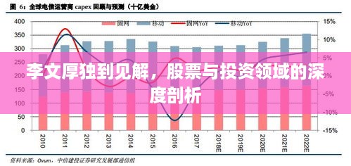 李文厚獨到見解，股票與投資領域的深度剖析