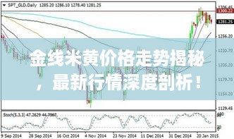 金線米黃價(jià)格走勢揭秘，最新行情深度剖析！