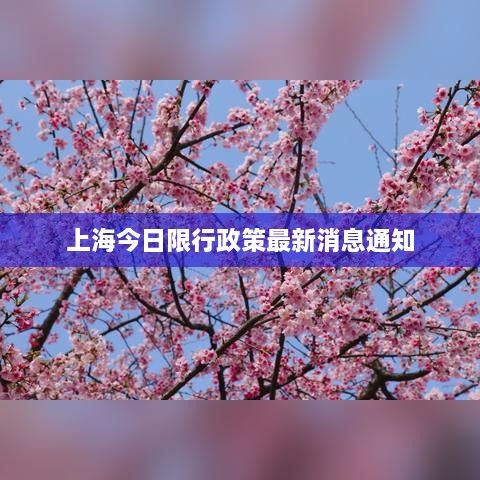 上海今日限行政策最新消息通知