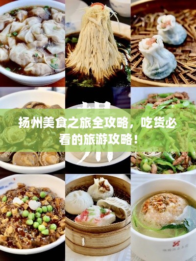 揚(yáng)州美食之旅全攻略，吃貨必看的旅游攻略！