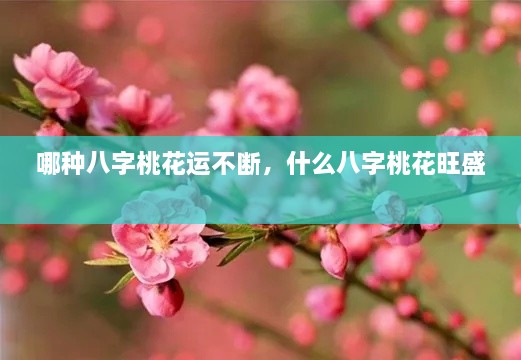 哪種八字桃花運不斷，什么八字桃花旺盛 